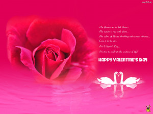 valentine_rose_with_quotes_12286.jpg