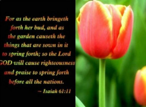 Isaiah 61:11.....For as the earth bringeth forth her bud, and as the ...
