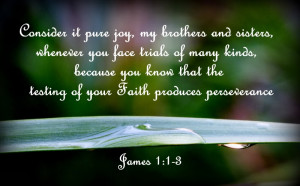 Consider it pure joy, my brothers and sisters, whenever you face ...