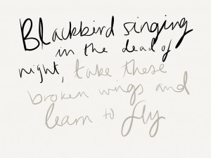 Beatles Blackbird Album