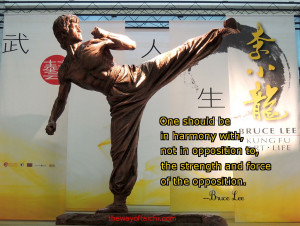 Bruce Lee Martial Arts Motivational Quotes