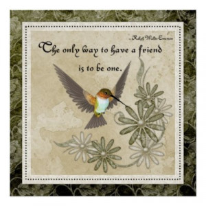 love hummingbirds quotes