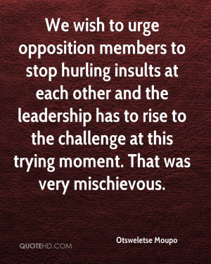 We wish to urge opposition members to stop hurling insults at each ...