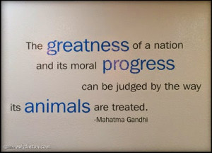 Isn't this a great quote to be on a vet's walls?