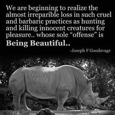 quotes endangered species animal rights animal quotes beautiful quotes ...