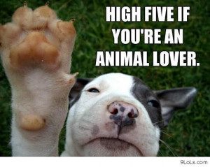 sayings all you need is love and a dog agreed funny quote with ...