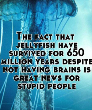 Great news for stupid people