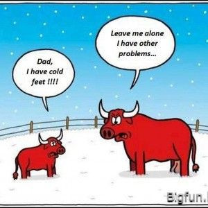 Funny Quotes about the Cold