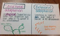 Fifth Grade Anchor Charts 5th At Decker Elementary Science picture