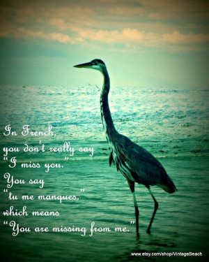 heron photograph 11x14 quote in french you by vintagebeachquotes $ 44 ...