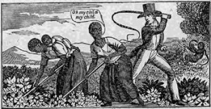 Slavery White Slave Trade http://americainclass.org/the-religious ...
