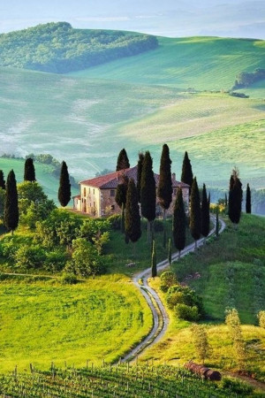 ... Tuscany | ITALY ☆ #valdorcia #tuscany #italy #fields #trees #europe