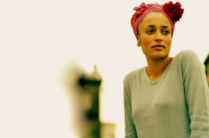 zadie smith vs james wood