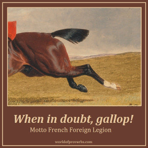 ... french proverbs famous french sayings french sayings french sayings