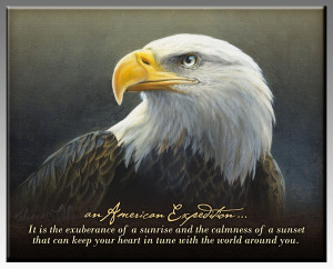 Bald Eagle Inspirational Wildlife Wall Plaque