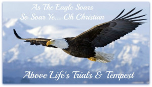 Quotes on Eagle http://www.21st-century-christianity.com/Eagles-Wings ...