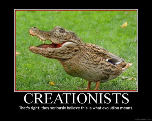 Scoperto un (pezzo di) crocoduck