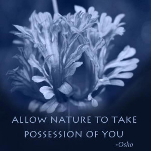 Allow nature to take possession of you.