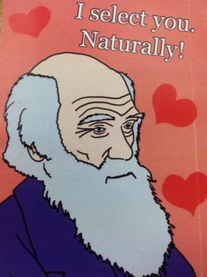 Valentines Day Quotes Love Funny Humor Sarcastic 20 Doblelolcom