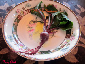 Baby Beet from the Home Garden