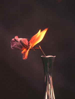 Technology of the Heart