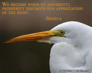adversity quotes overcoming adversity quotes quotes about adversity ...