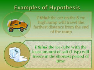 science hypothesis our next step is