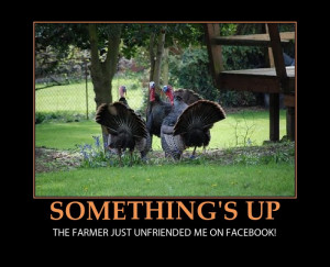 PS - funny link here! Happy Thanksgiving