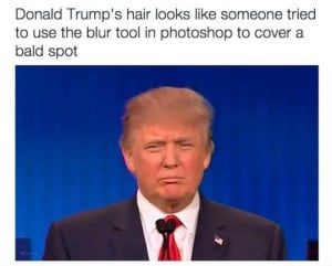 Donald Trump’s hair