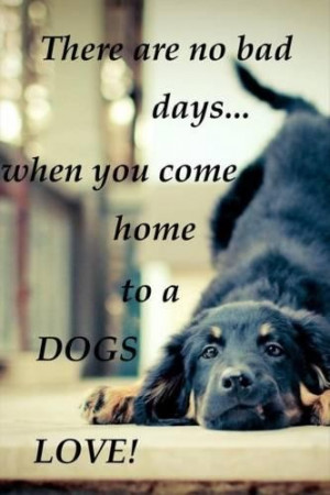 Quotes about dogs and love