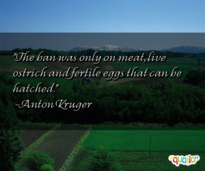 Ostrich Quotes