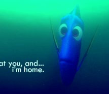 ... finding nemo quotes squishy freeware finding nemo movie screensaver