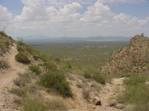Sonora Desert Museum Tucson