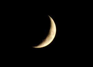 Crescent Moon Snomanda...