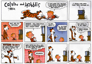 Calvin And Hobbes Rule 34