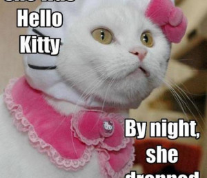 Funny Cat Phrases Funny-pictures-cat-dresses-as-
