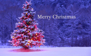 Merry Christmas 2015 quotes Images Wallpaper Greetings sms messages ...