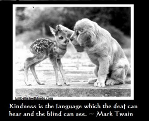 mark twain quotes Pictures, Images and Photos