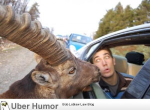 Daily Morning Epicness (40 Pictures)