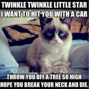 Grumpy-cat-poem.jpg