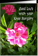 Knee Surgery Good Luck Card - Pink Roses card - Product #823178