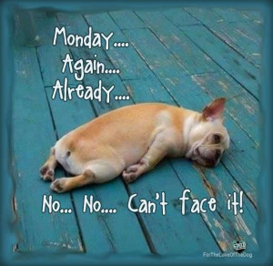 just another Manic Monday.....