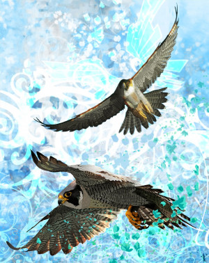 Peregrine Falcon Painting