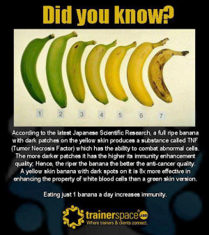 Did you know – facts about bananas