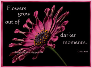 ... see sidebar inspirational quotes and recovery quotes of the week for