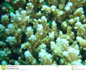 Funny Quotes Contact Us DMCA Notice