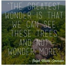 The greatest wonder is that we can see these trees and not wonder ...