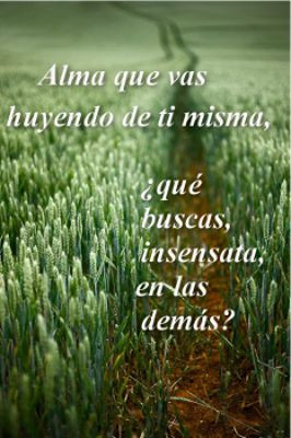 Found on lucialake.lectyo.com