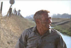 Cool Hand Luke 5