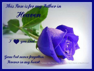 This Rose for my father in heaven